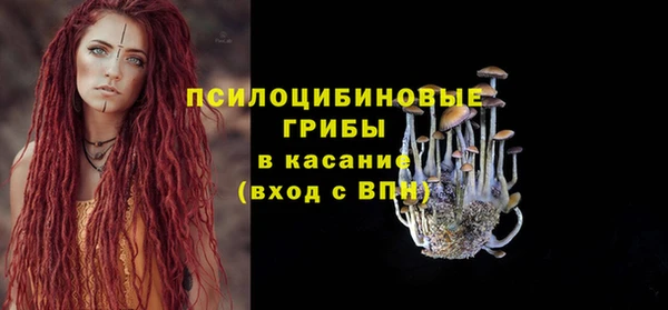 МДМА Богородицк
