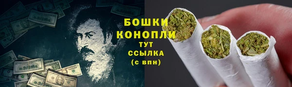 гидропоника Богданович