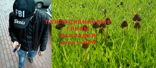 МДМА Богородицк
