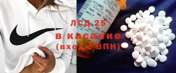 бошки Бронницы