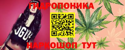 мяу мяу мука Донской