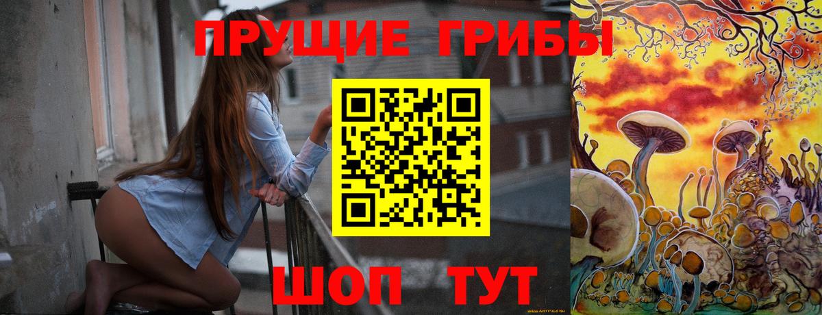 Псилоцибиновые грибы GOLDEN TEACHER Наро-Фоминск